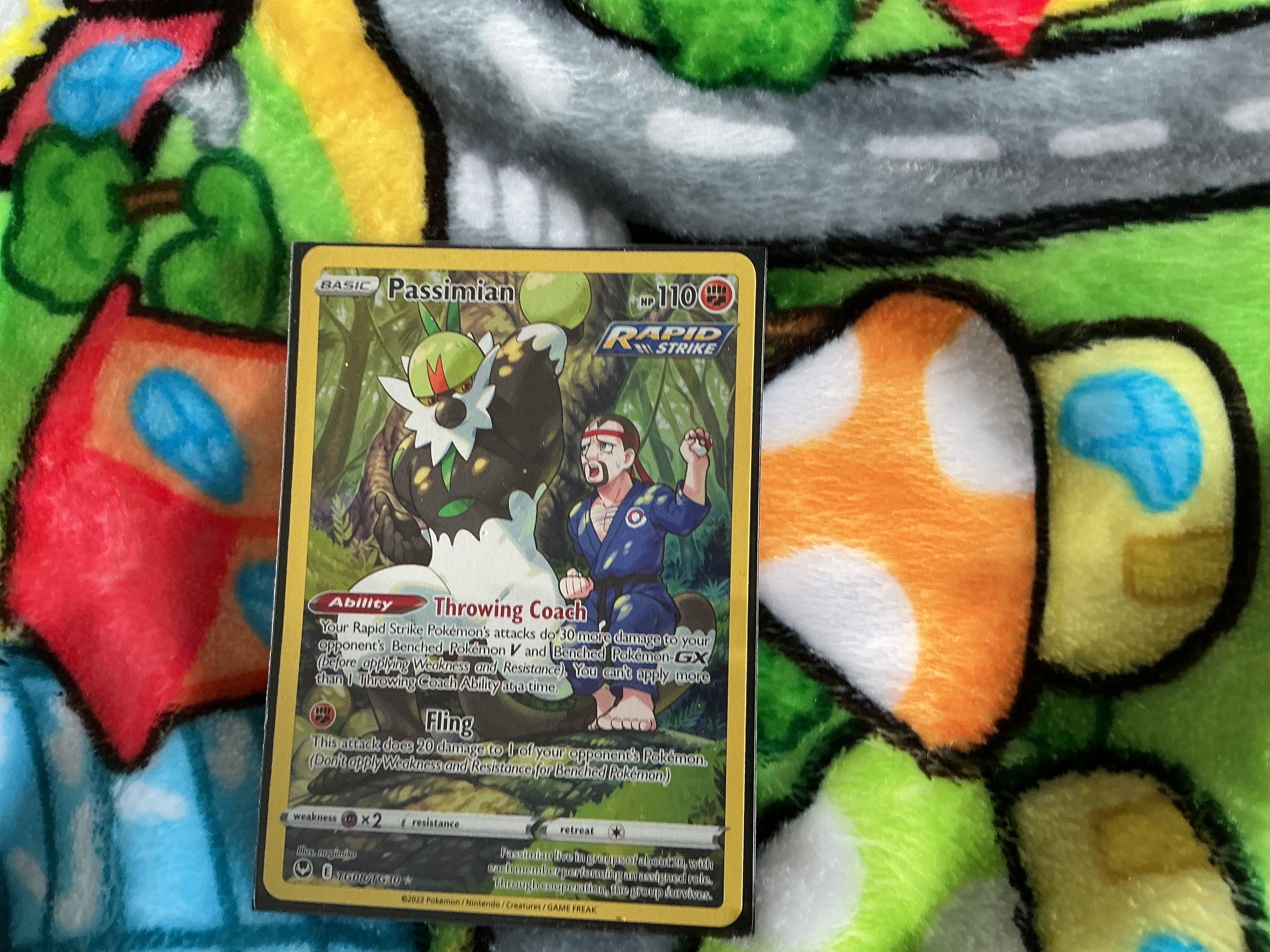 Passimian