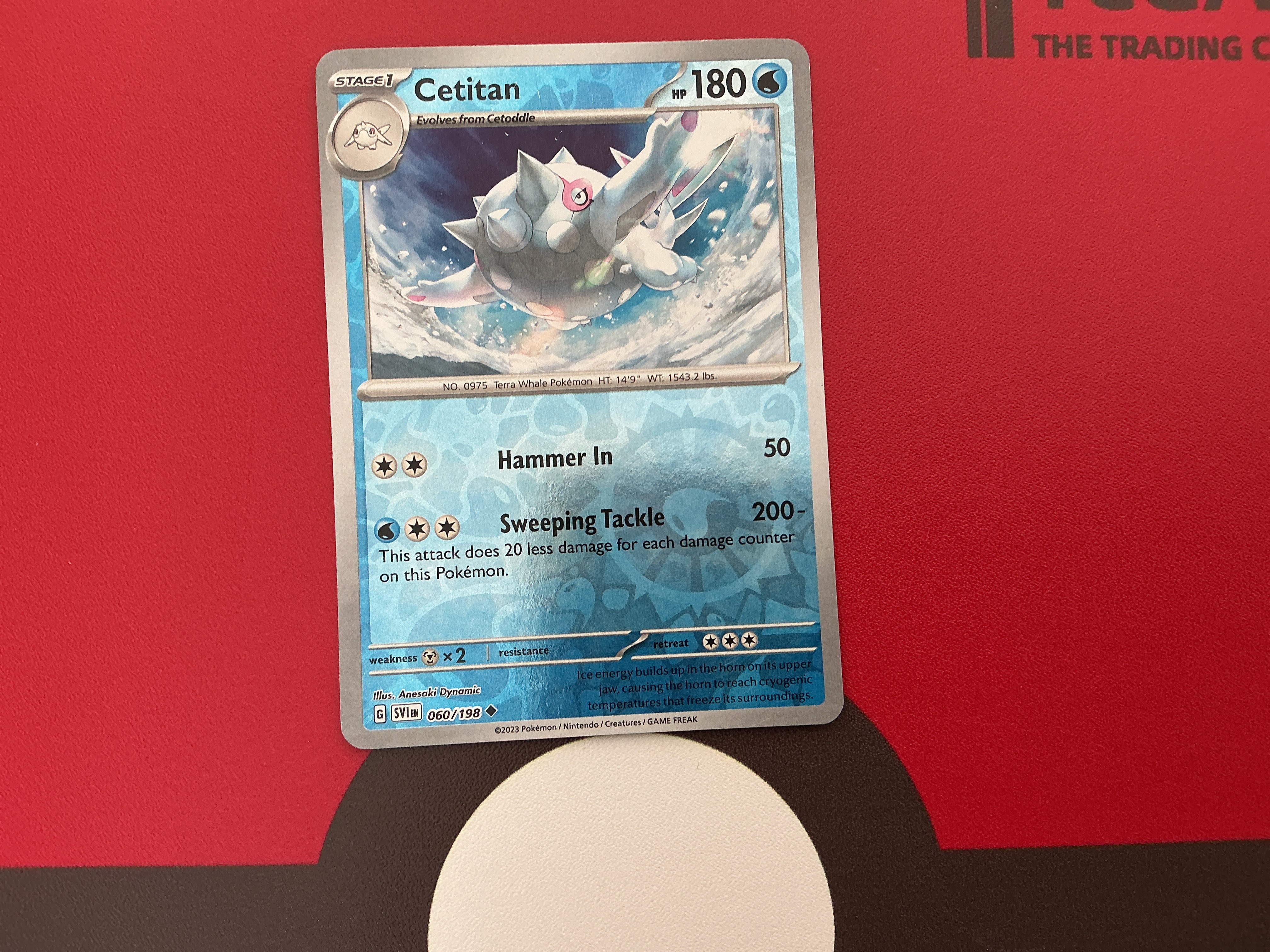 Cetitan