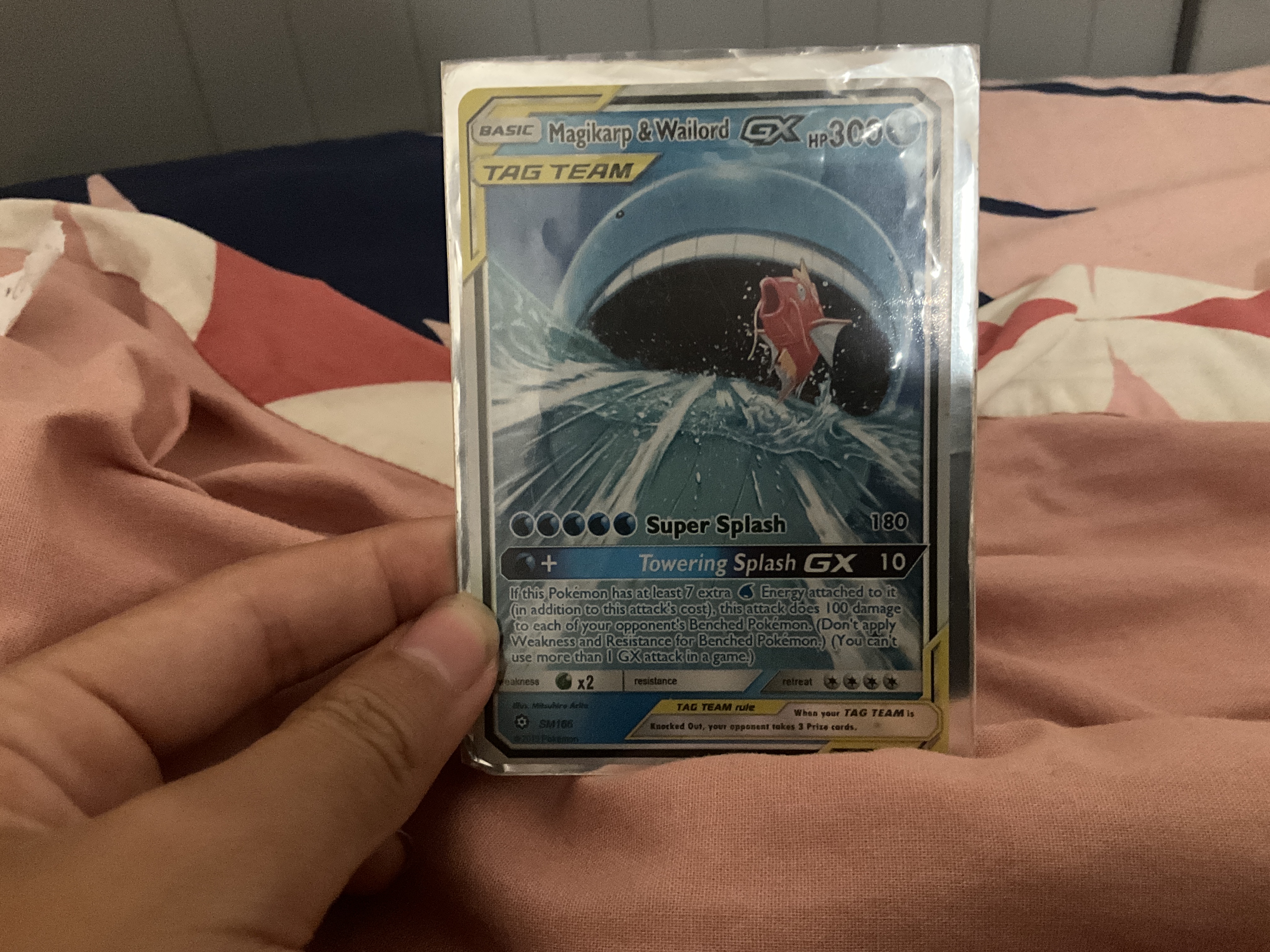 Magikarp & wailord